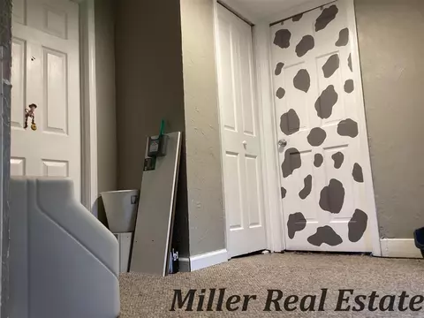 Entry Way - 224 N Catherine, Ithaca, MI 48847 photo 4 of 4