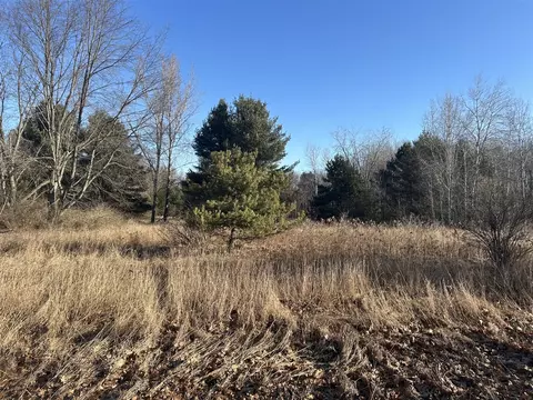 10748 Peninsula #45, Canadian Lakes, MI 49346