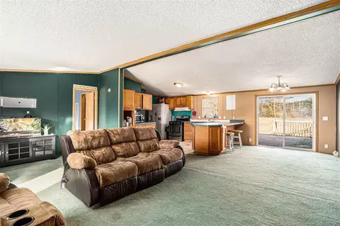Living - 4082 Timeless, Grant, MI 49327 photo 2 of 3
