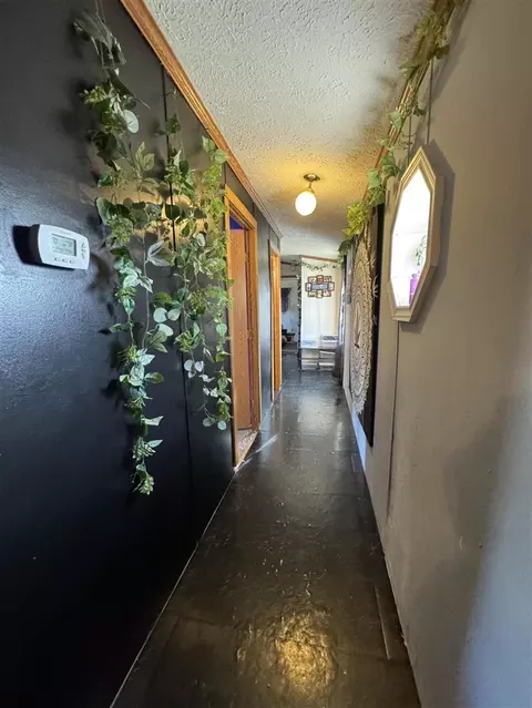 Entry Way - 782 N Hillman, Stanton, MI 48888 photo 2 of 3