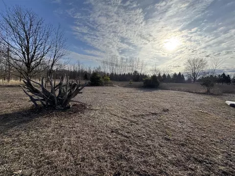 Exterior - 782 N Hillman, Stanton, MI 48888 photo 9 of 13
