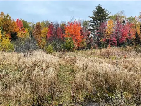 Vl-ag Lp Walsh, Ontonagon, MI 49953