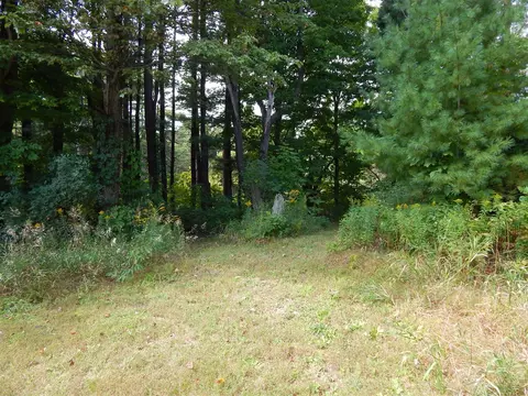 Exterior - 8935 35th, Remus, MI 49340 photo 13 of 14