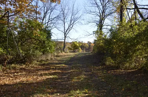 6255 Maple Dl, Jackson, MI 49201 photo 6