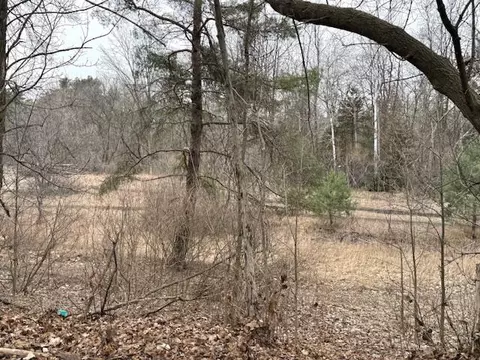 Other - 661 E Main, Edmore, MI 48829 photo 2 of 2