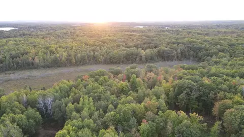 Other - 2635 Thayer, Lupton, MI 48635 photo 18 of 52