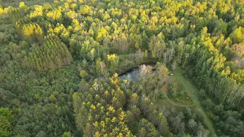 Other - 2635 Thayer, Lupton, MI 48635 photo 13 of 52