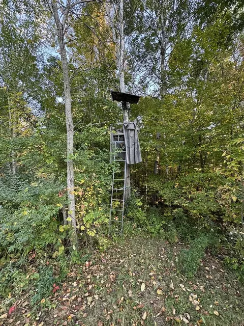 Other - 2635 Thayer, Lupton, MI 48635 photo 29 of 52
