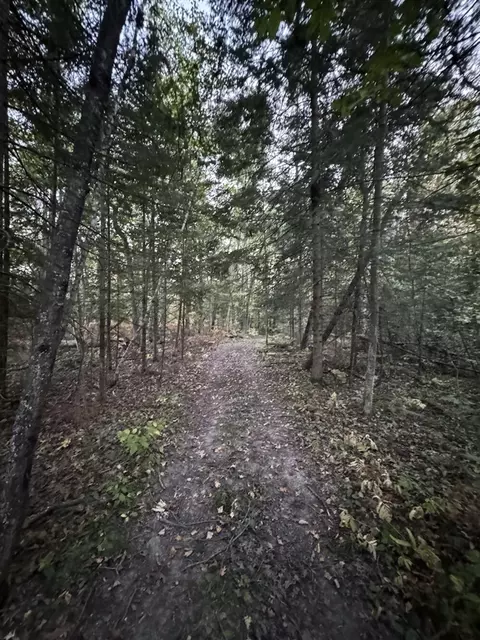Other - 2635 Thayer, Lupton, MI 48635 photo 51 of 52
