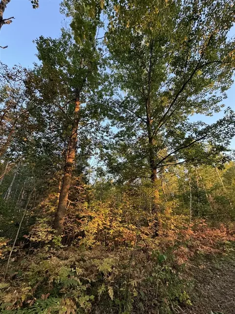 Other - 2635 Thayer, Lupton, MI 48635 photo 36 of 52