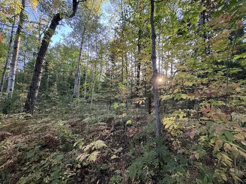 Exterior - 2635 Thayer, Lupton, MI 48635 photo 16 of 35
