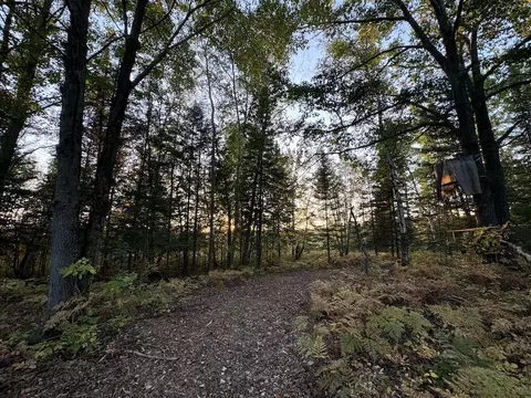 Exterior - 2635 Thayer, Lupton, MI 48635 photo 31 of 35