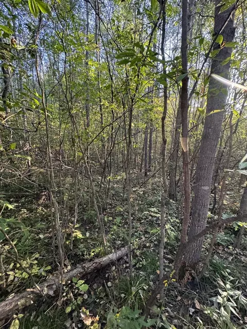 Other - 2635 Thayer, Lupton, MI 48635 photo 25 of 52