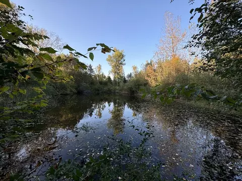View/Area - 2635 Thayer, Lupton, MI 48635 photo 12 of 12