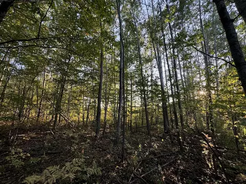 Exterior - 2635 Thayer, Lupton, MI 48635 photo 26 of 35
