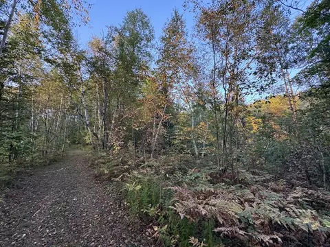 Other - 2635 Thayer, Lupton, MI 48635 photo 35 of 52