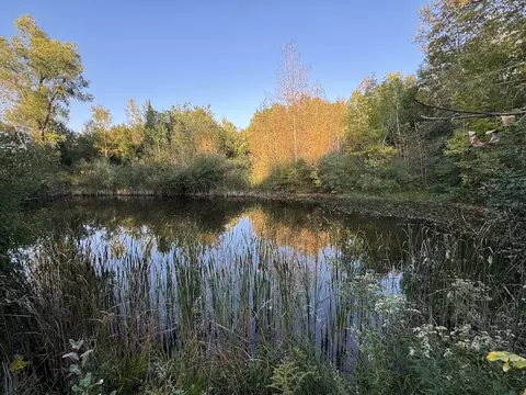 View/Area - 2635 Thayer, Lupton, MI 48635 photo 2 of 12