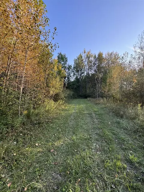Other - 2635 Thayer, Lupton, MI 48635 photo 26 of 52