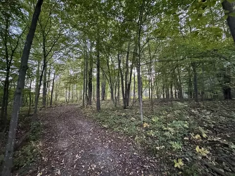 Exterior - 2635 Thayer, Lupton, MI 48635 photo 32 of 35