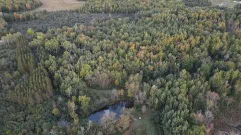 View/Area - 2635 Thayer, Lupton, MI 48635 photo 9 of 12