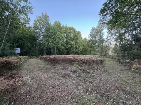 Exterior - 2635 Thayer, Lupton, MI 48635 photo 35 of 35