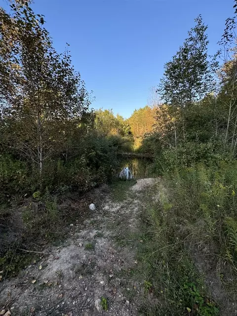 View/Area - 2635 Thayer, Lupton, MI 48635 photo 11 of 12