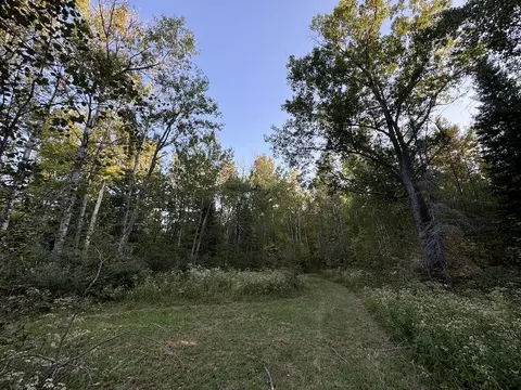 Exterior - 2635 Thayer, Lupton, MI 48635 photo 30 of 35