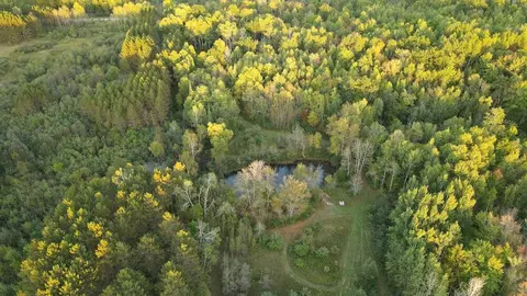View/Area - 2635 Thayer, Lupton, MI 48635 photo 1 of 12