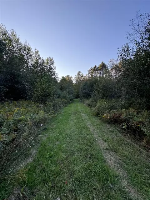 Other - 2635 Thayer, Lupton, MI 48635 photo 31 of 52