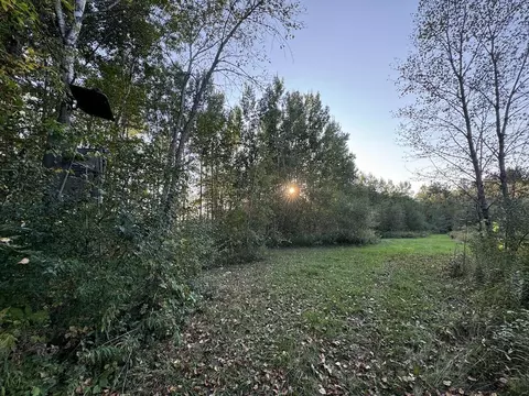 Exterior - 2635 Thayer, Lupton, MI 48635 photo 22 of 35