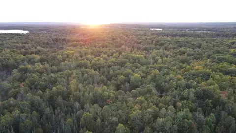 Other - 2635 Thayer, Lupton, MI 48635 photo 19 of 52