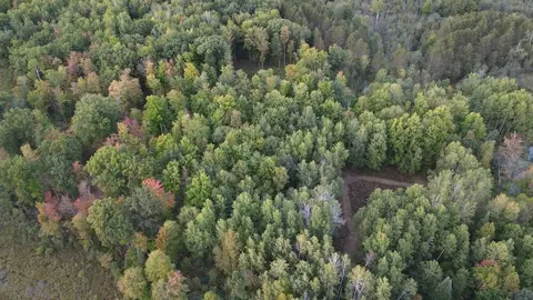 View/Area - 2635 Thayer, Lupton, MI 48635 photo 8 of 12