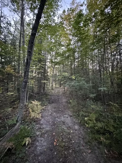 Other - 2635 Thayer, Lupton, MI 48635 photo 52 of 52