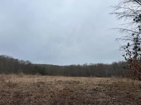 2599 N Pine Parcel C, White Cloud, MI 49349 photo 18