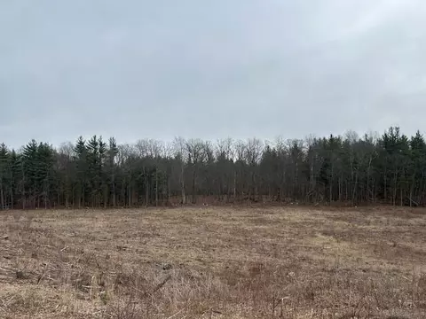 2599 N Pine Parcel C, White Cloud, MI 49349 photo 10