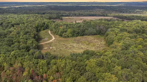 2599 N Pine Parcel C, White Cloud, MI 49349