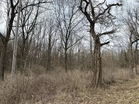 000 M99, Albion, MI 49224