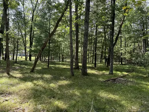 Exterior - 5862 N Utter, Irons, MI 49644 photo 7 of 14