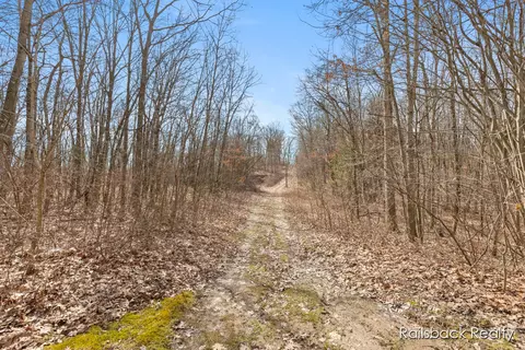 Other - 162 E 56th, Newaygo, MI 49337 photo 8 of 22