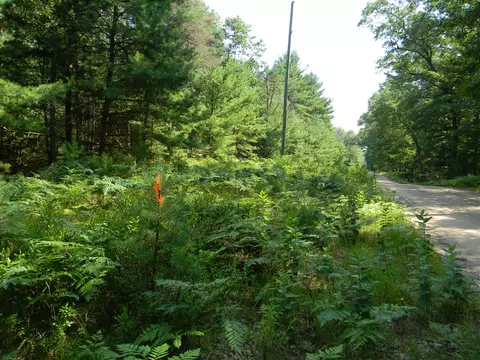 n 56th, Pentwater, MI 49449