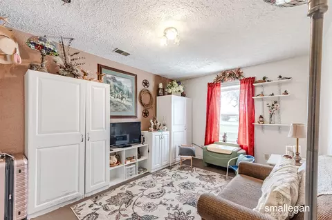 88 E Parameter, Ionia, MI 48846 photo 11