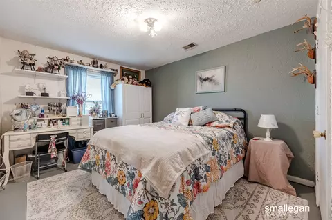 88 E Parameter, Ionia, MI 48846 photo 14