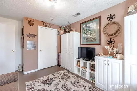 88 E Parameter, Ionia, MI 48846 photo 10