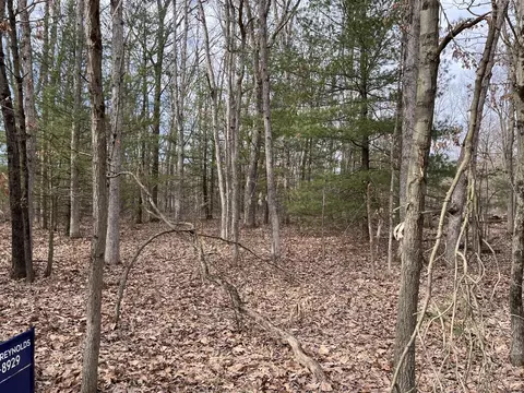 Aspen, Allegan, MI 49010
