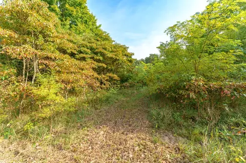 60 Th, Mattawan, MI 49071 photo 5