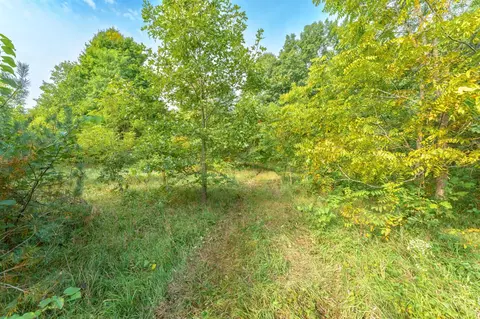 60 Th, Mattawan, MI 49071 photo 10