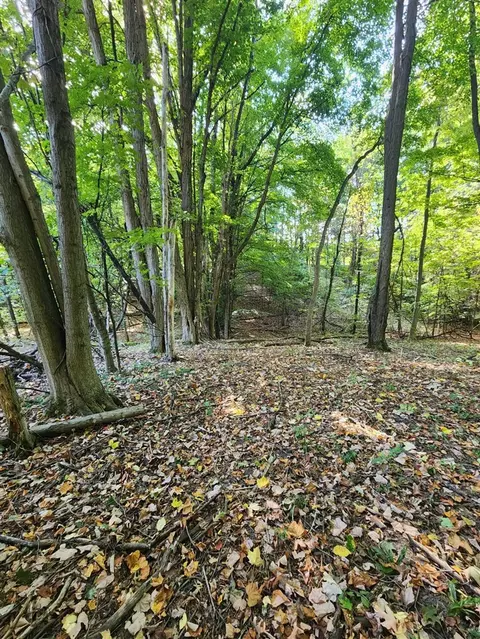 Filmore, Hart, MI 49420