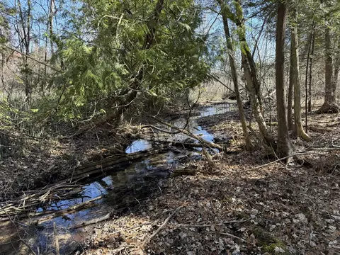 tbd Lakeville, Update, MI 48366 photo 16