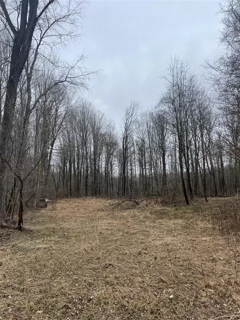 14 Th Street Vl 1981 Acres, Grand Junction, MI 49056
