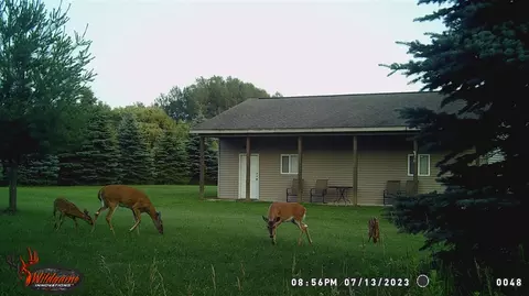 7355 10th, Remus, MI 49340 photo 11
